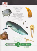شاهد عینی وال ها